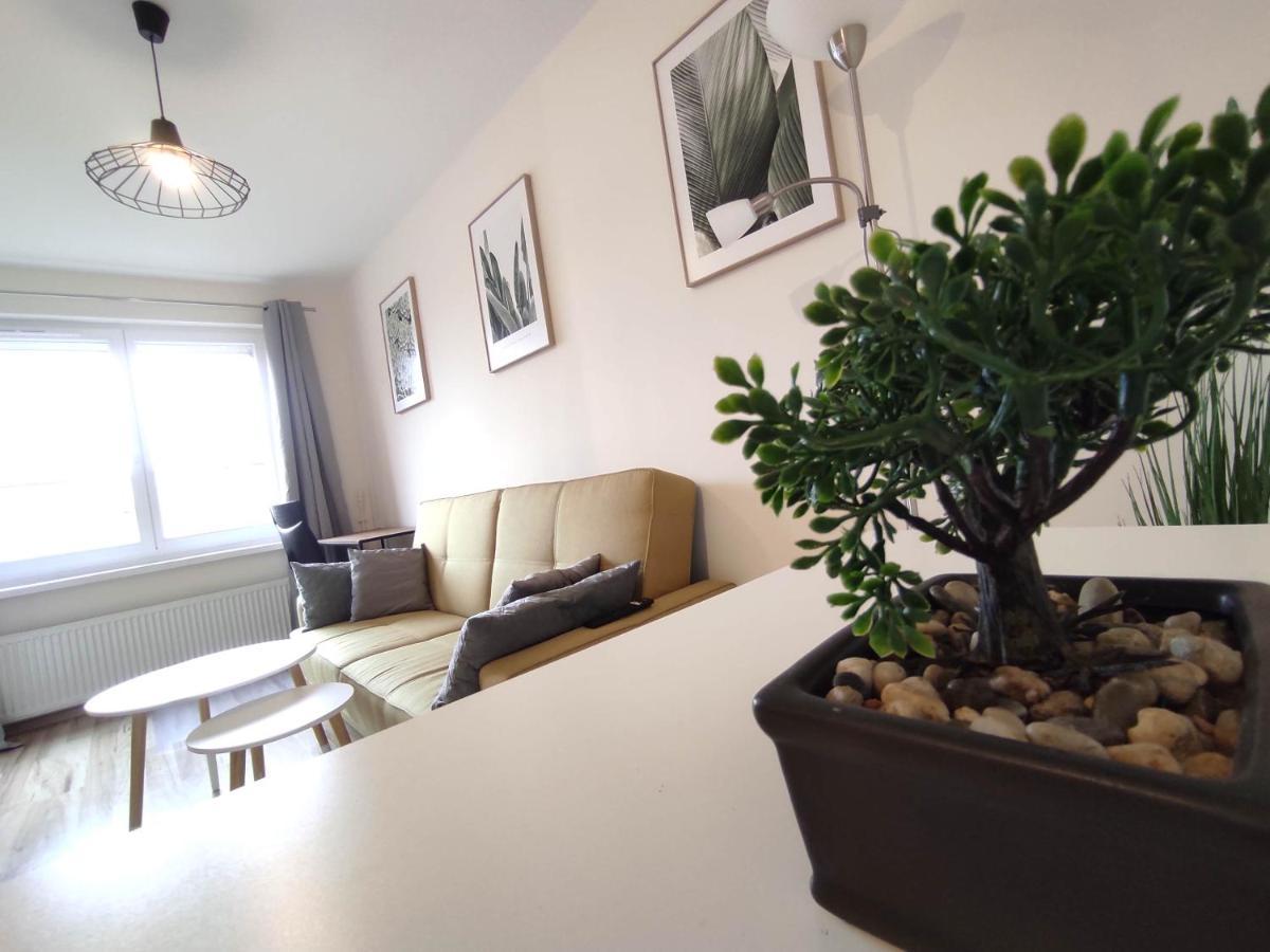 ***Casablanca Apartament*** - 40M² ✓ Rybnik  Exteriér fotografie